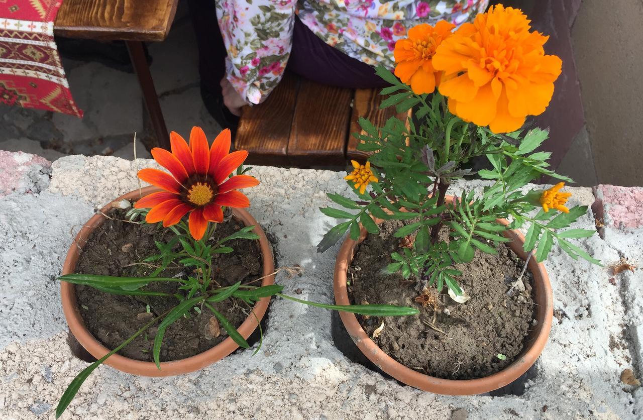 Three Jugs B&B Jrvezh 外观 照片